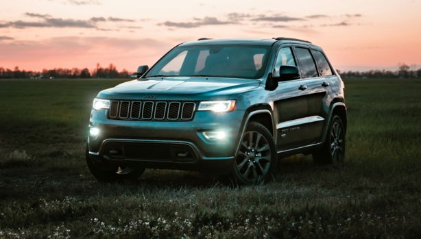 gray bmw x 6 on green grass field during sunset